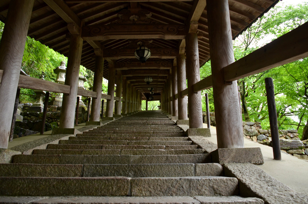 長い回廊