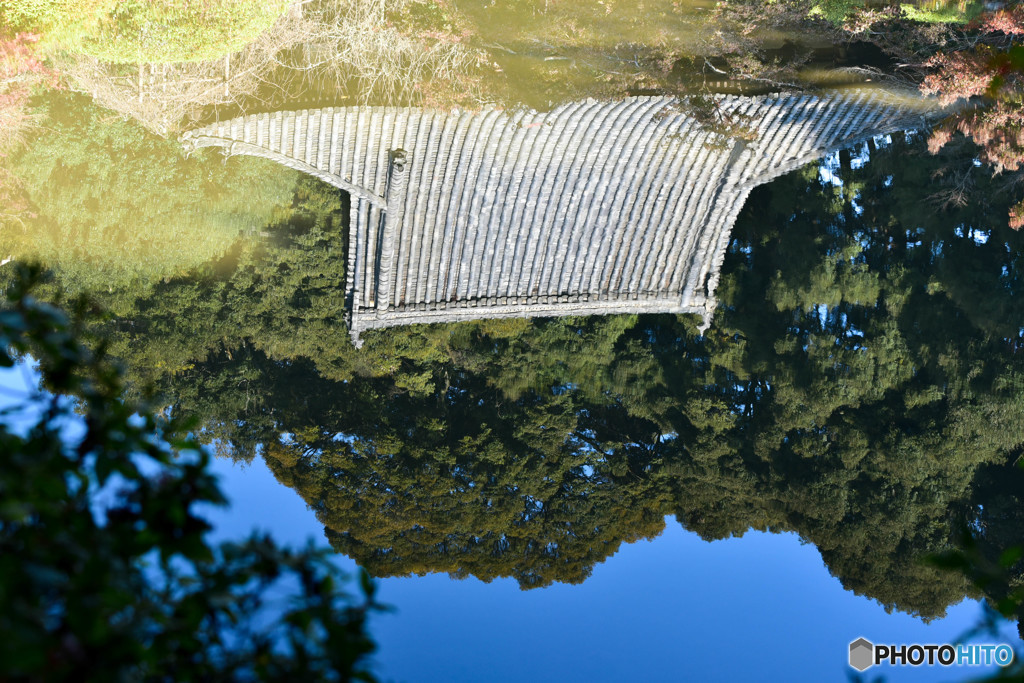 ファインダー越しの私の世界
