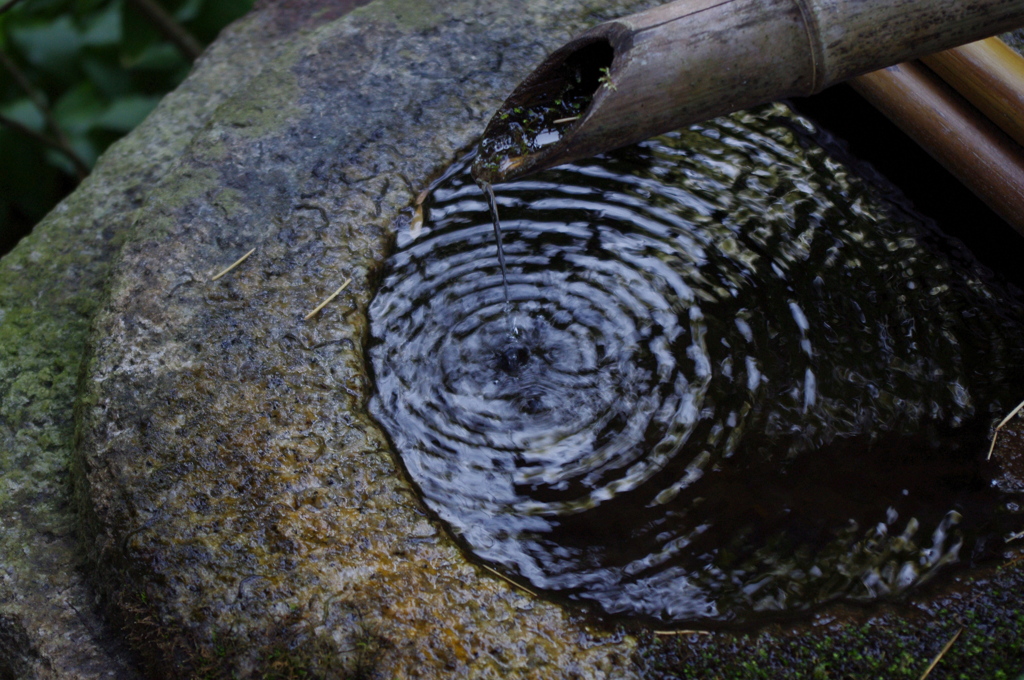水紋―古刹の庭で