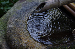 水紋―古刹の庭で