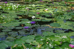 神戸花鳥園３３