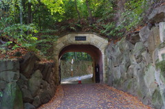 紅に染まる美術館