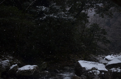 雪が降る