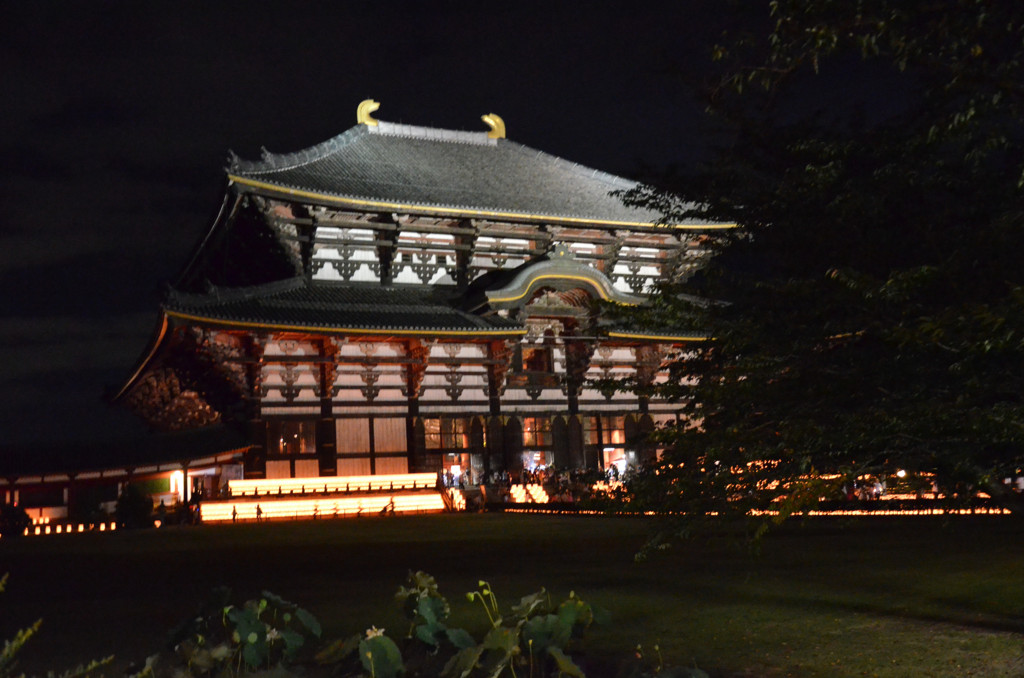 夜の大仏殿