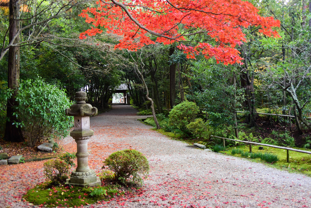 秋篠寺にて