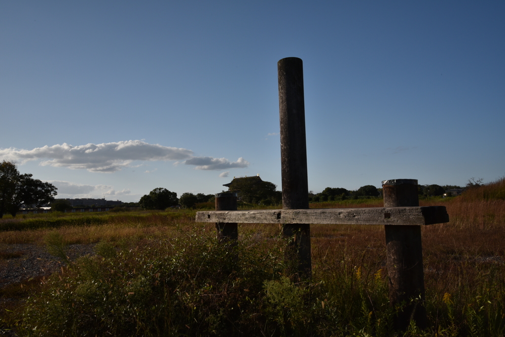 平城宮祉にてⅣ