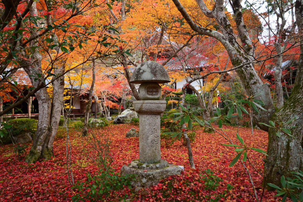敷紅葉