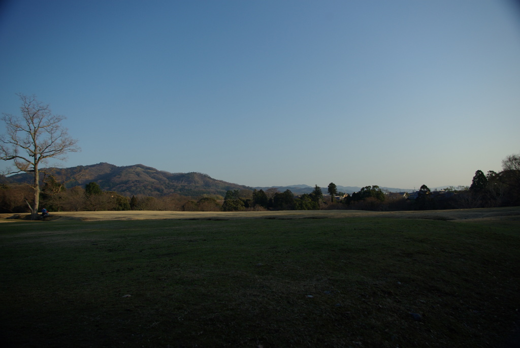 奈良の風景 4（飛火野）