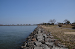 湖岸から