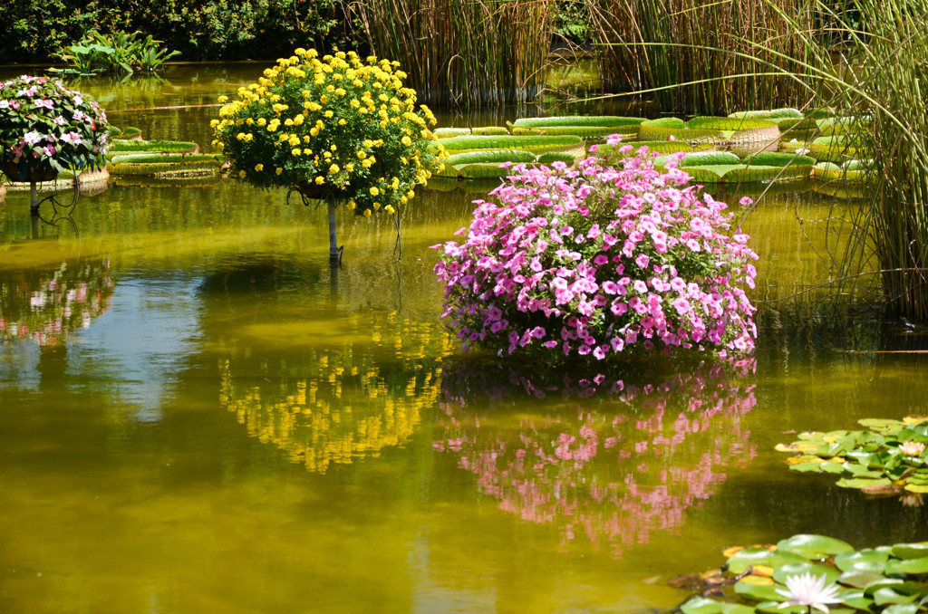 The wonderful world 