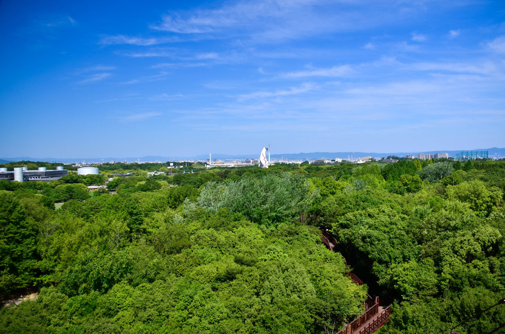 展望台から
