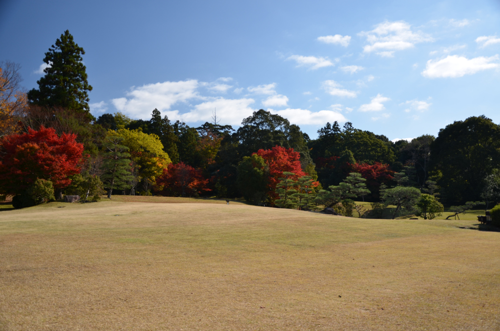 紅葉する庭園