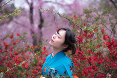 春の風に