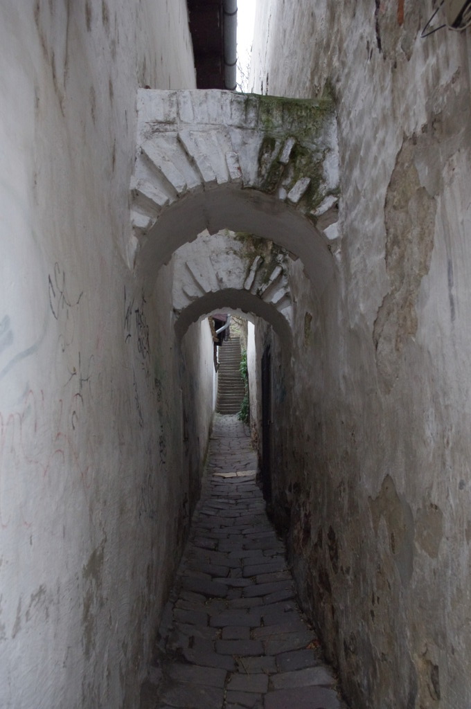 センテンドレで６