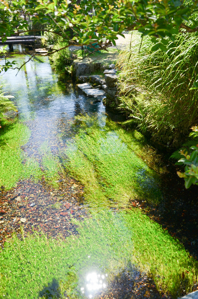 水のある風景