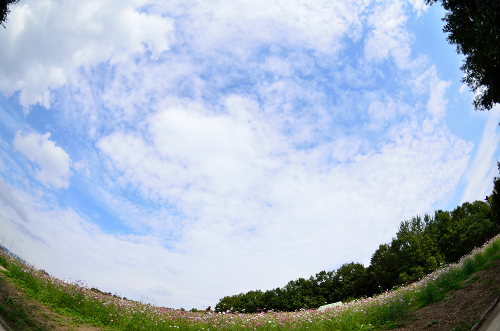 ま～るい空