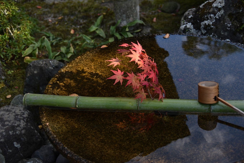 水鏡