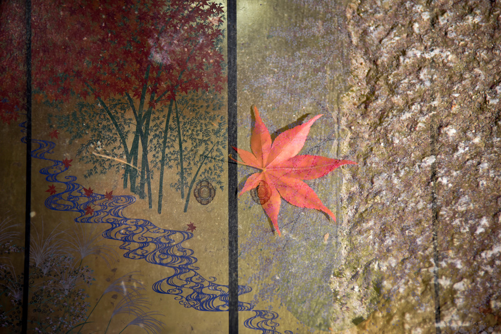 紅葉のillusionⅡ