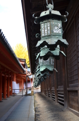 万灯籠