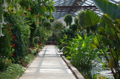 神戸花鳥園１８