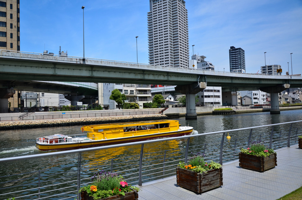 初夏の日差し