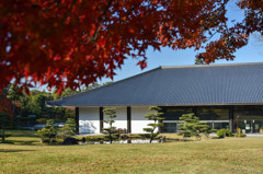新公会堂と紅葉