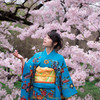桜満開