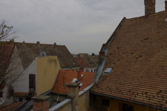 センテンドレで５