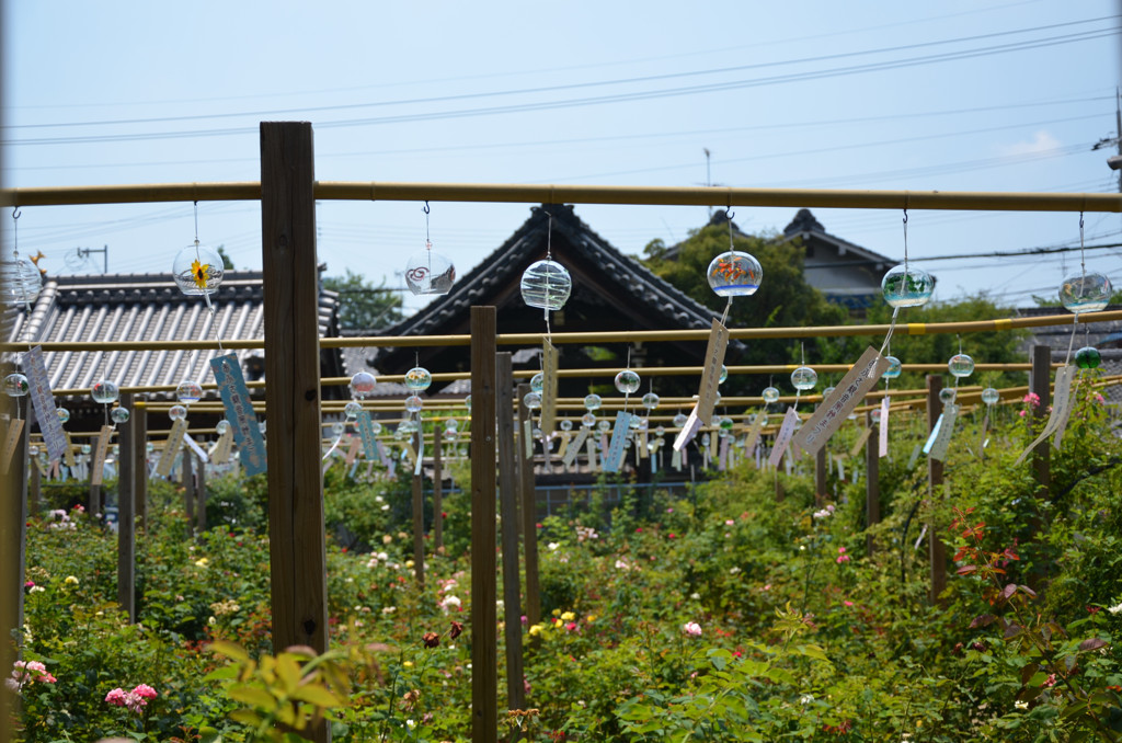 風鈴祭り