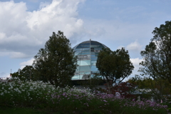 Dome