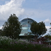 Dome