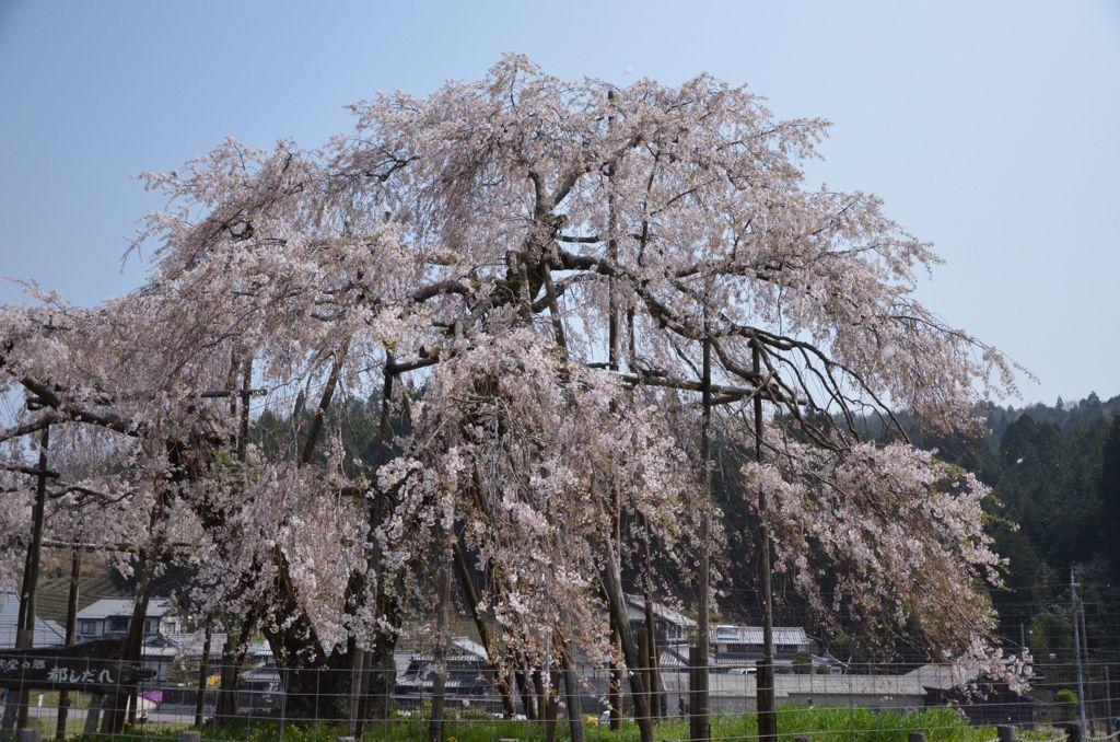 年を重ねて