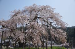 年を重ねて