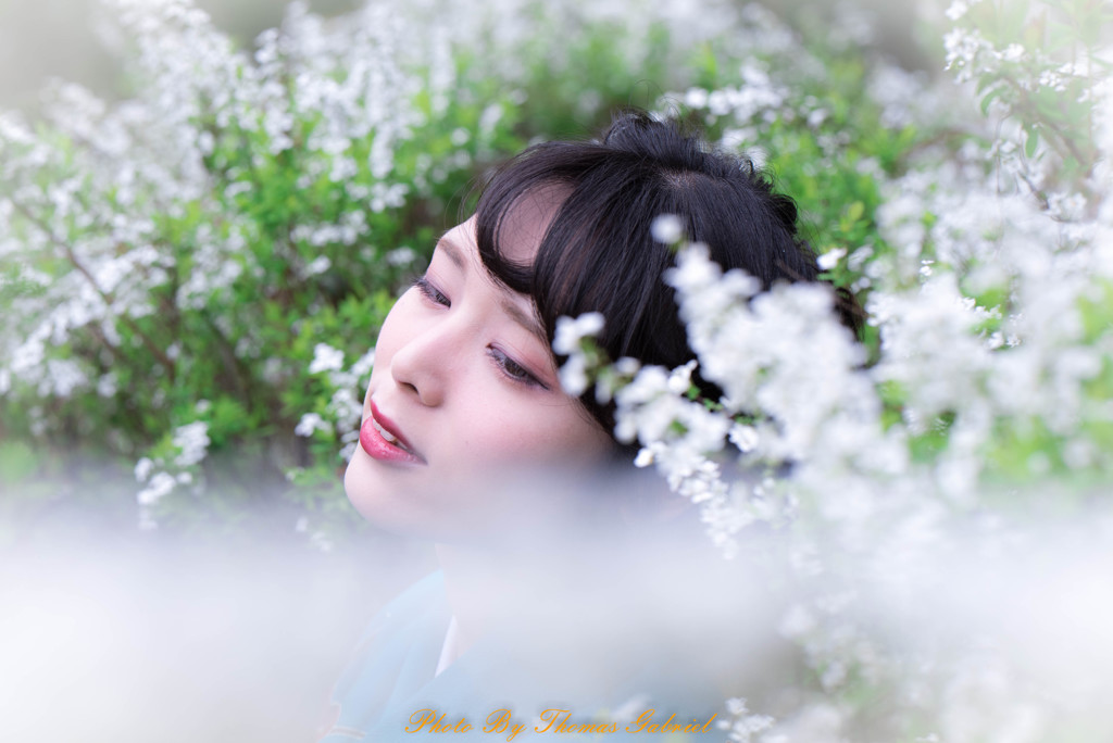 Dream