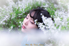 Dream