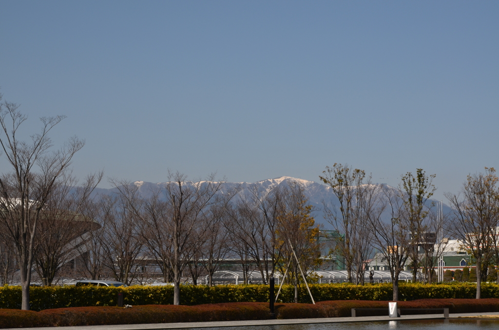 春の日差しと山の雪