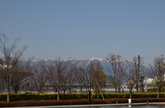 春の日差しと山の雪