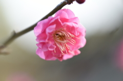 春間近