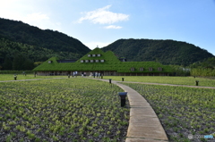 ラコリーナ