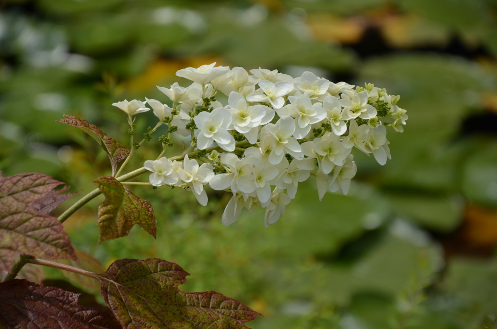 花嫁の髪飾り