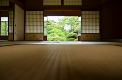 シンメトリーな光景