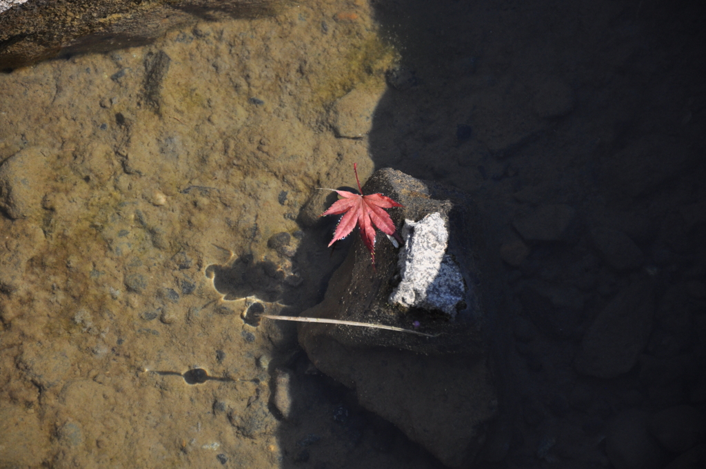 もう秋