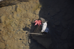 もう秋