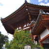 興福寺南円堂、右近の橘と南円堂