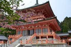 桜とお堂