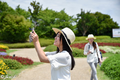 夏の日の公園で