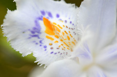 補色のカンケイ