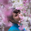 満開の桜