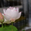一休み