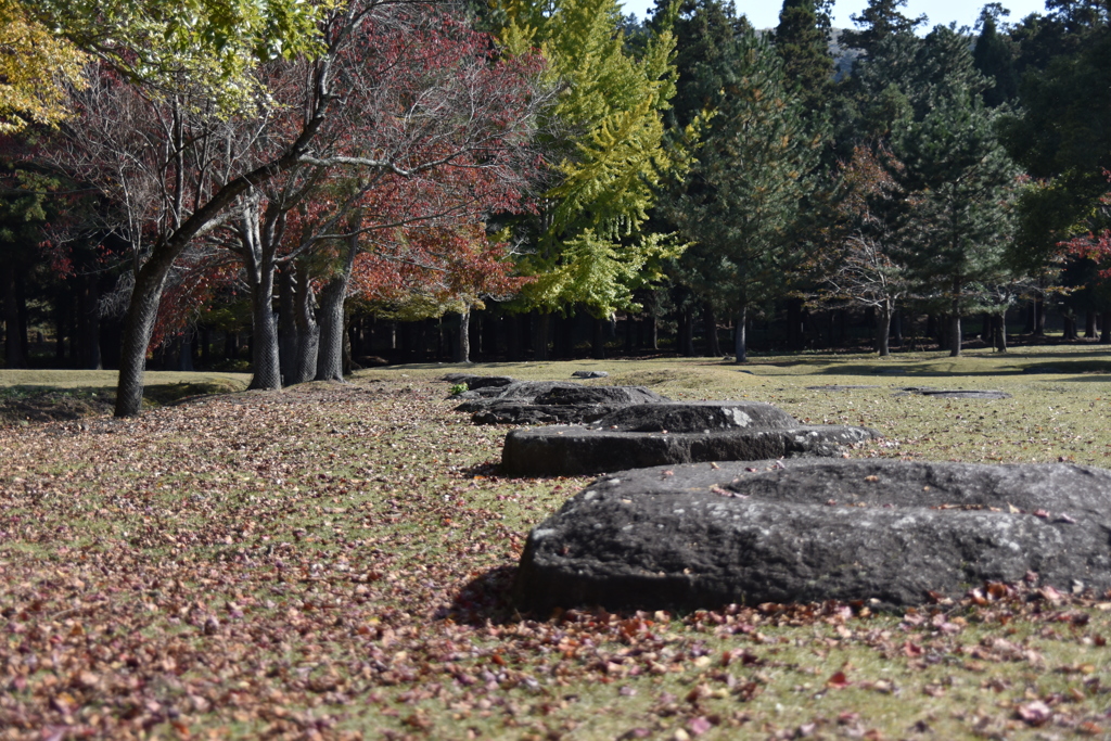 古刹の風景（列柱跡）